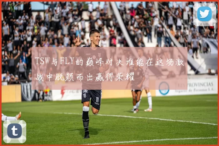 TSW与FLY的巅峰对决谁能在这场激战中脱颖而出赢得荣耀