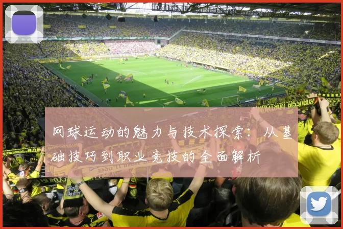 网球运动的魅力与技术探索：从基础技巧到职业竞技的全面解析
