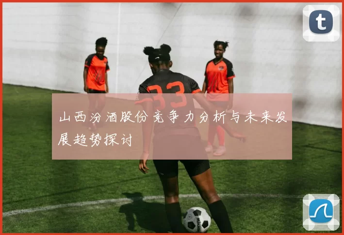 山西汾酒股份竞争力分析与未来发展趋势探讨