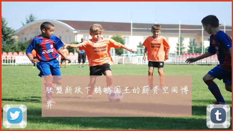 联盟新政下鹈鹕国王的薪资空间博弈