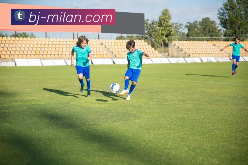 米兰milan平台生态图